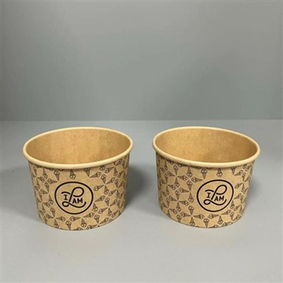 ক্রাফ্ট আইসক্রিম টব